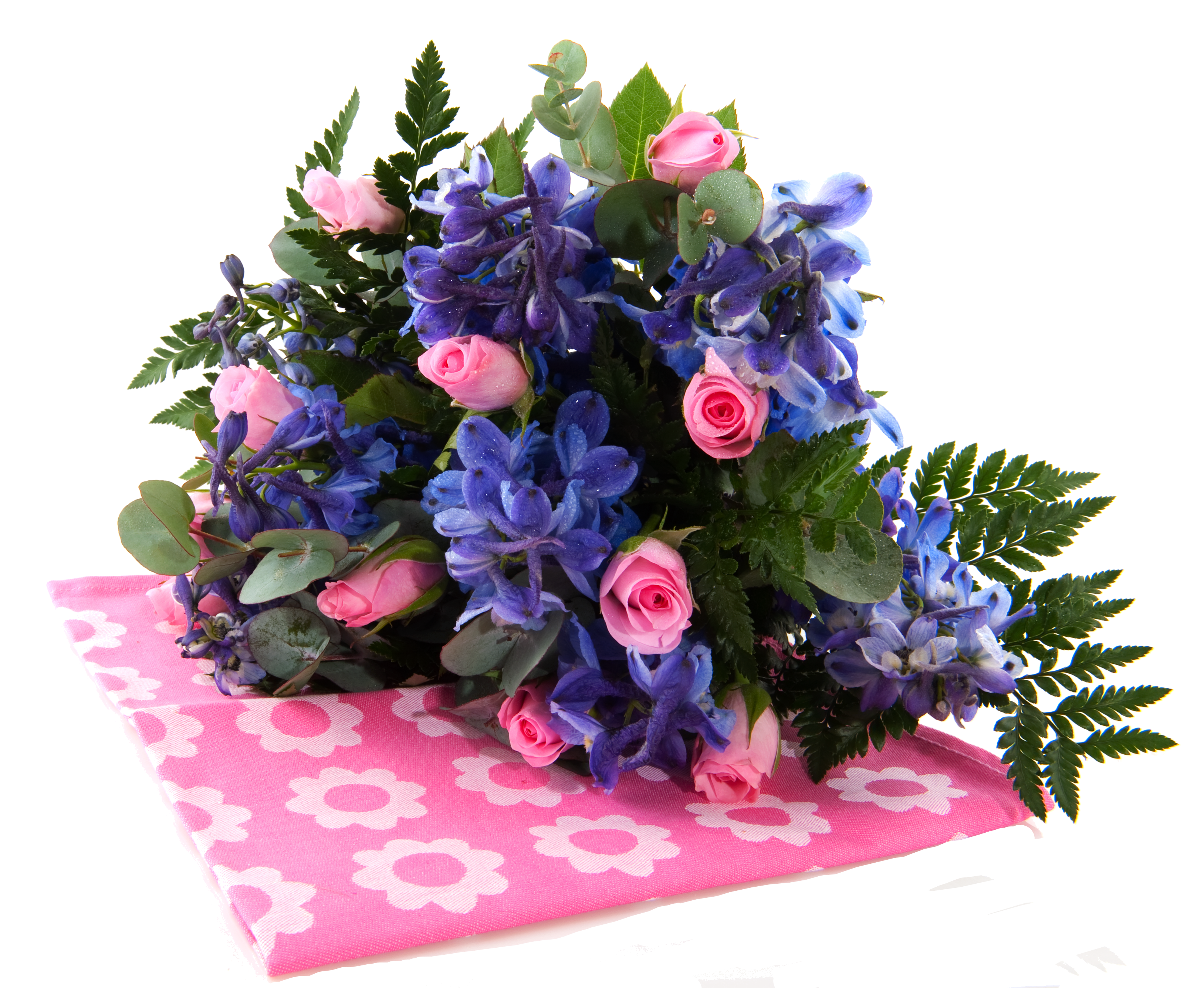 blue and pink flowers