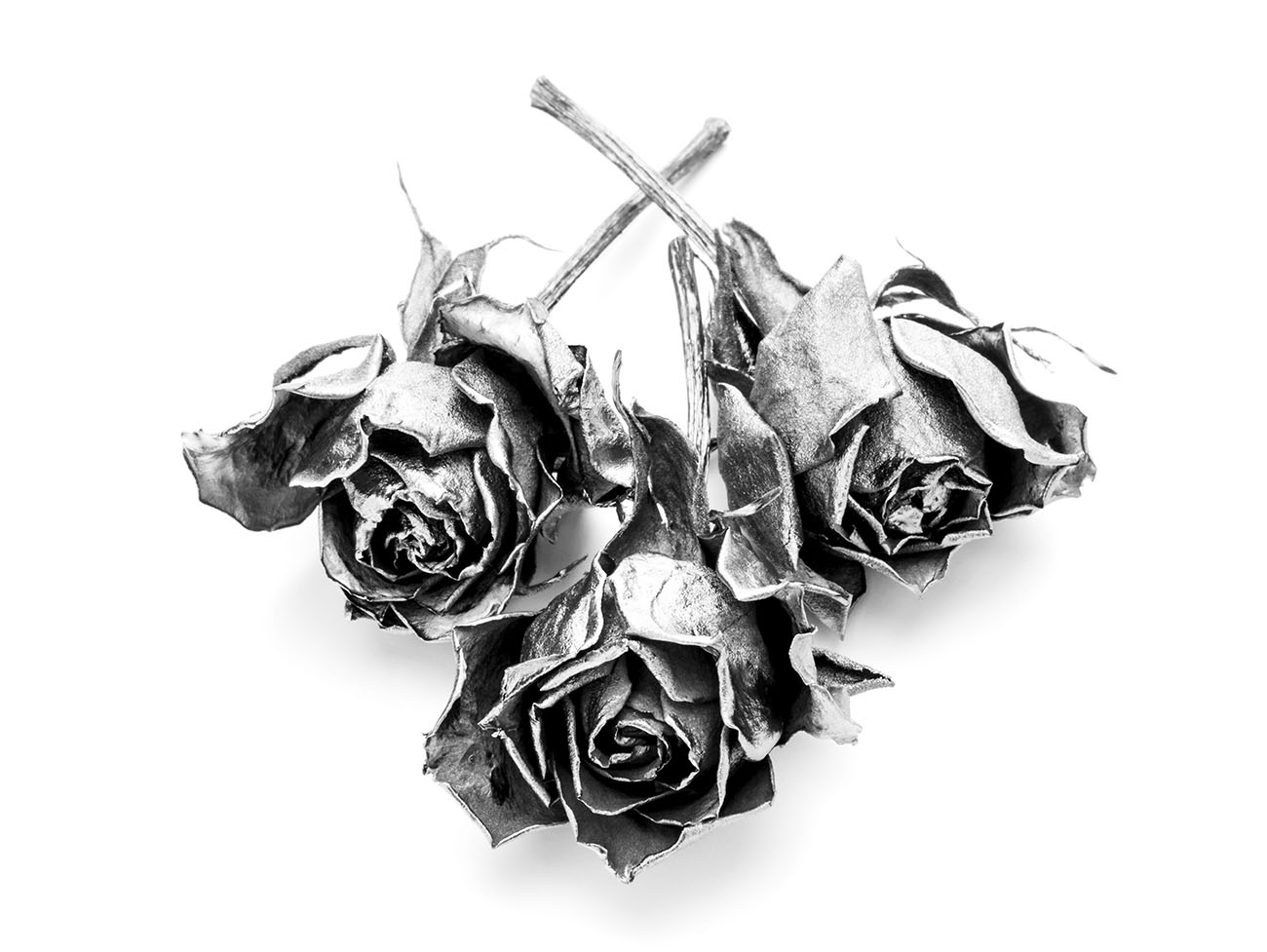 Platinum roses